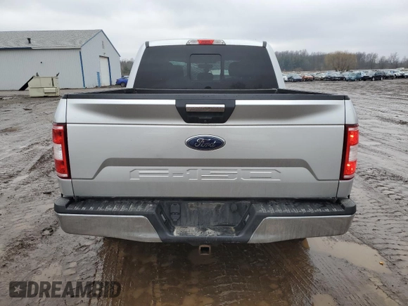 2019 Ford F-150 XL with VIN 1FTEW1EB8KFC61719, listed as a Copart auction lot 47276065 with 160,016 mi miles and Salvage Title. Bid and sale history available at DreamBid. Image 6.