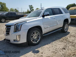 2019 Cadillac Escalade z VIN 1GYS4AKJ6KR213617, wystawiony jako Copart lot #70852654 z przebiegiem 88 970 mil mil oraz Nie do naprawy. Historia ofert i sprzedaży dostępna na DreamBid. Obrazek 1.