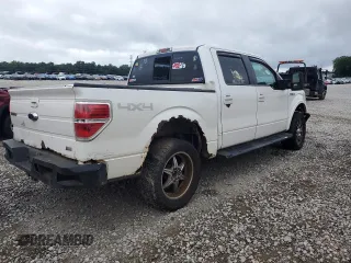 2010 Ford F-150 XL with VIN 1FTFW1EV3AFB31716, listed as a Copart auction lot 61506375 with 286,144 mi miles and Clean title. Bid and sale history available at DreamBid. Image 3.