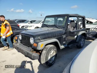 2002 Jeep Wrangler X with VIN 1J4FA39S62P775517, listed as a Copart auction lot 75336364 with Not Provided miles and Salvage Title. Bid and sale history available at carsss.com. Image 1.
