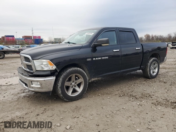 2012 Ram 1500 Big Horn with VIN 1C6RD7LT3CS291152, listed as a Copart auction lot 81600284 with 219,033 mi miles and Salvage Title. Bid and sale history available at carsss.com. Image 1.