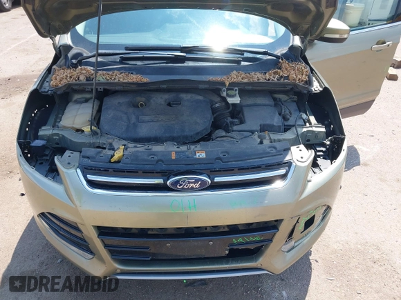2013 Ford Escape Titanium with VIN 1FMCU9J98DUC45917, listed as a IAAI auction lot 42503892 with 173,284 mi miles and . Bid and sale history available at DreamBid. Image 10.