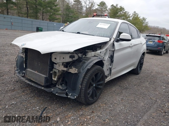 2018 BMW X6 sDrive35i with VIN 5UXKU0C56J0G81224, listed as a IAAI auction lot 41734077 with 121,145 mi miles. Bid and sale history available at carsss.com. Image 17.