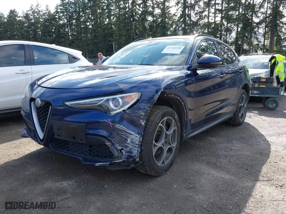 2018 Alfa Romeo Stelvio Sport with VIN ZASFAKPN2J7B77900, listed as a IAAI auction lot 41920930 with 42,378 mi miles. Bid and sale history available at carsss.com. Image 17.