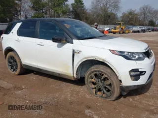 2017 Land Rover Discovery Sport HSE with VIN SALCR2BG7HH668795, listed as a IAAI auction lot 41566799 with 117,076 mi miles. Bid and sale history available at carsss.com. Image 1.