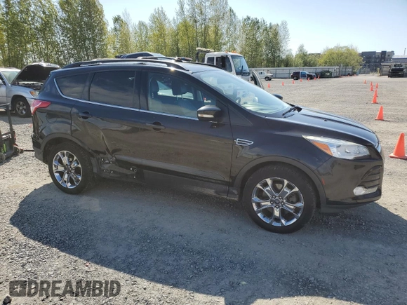 2013 Ford Escape SEL with VIN 1FMCU9H98DUA08981, listed as a Copart auction lot 54192445 with 102,151 mi miles and Salvage Title. Bid and sale history available at DreamBid. Image 4.
