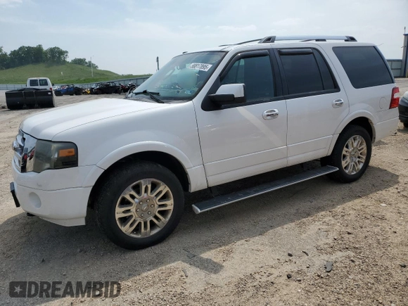 2011 Ford Expedition Limited with VIN 1FMJU2A56BEF45345, listed as a Copart auction lot 58817895 with 196,164 mi miles and Non repairable. Bid and sale history available at DreamBid. Image 1.