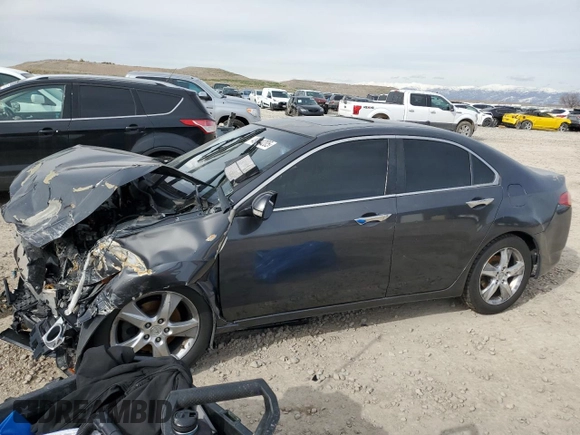 2011 Acura TSX with VIN JH4CU2F65BC004862, listed as a Copart auction lot 49914205 with 194,730 mi miles and Salvage Title. Bid and sale history available at carsss.com. Image 1.