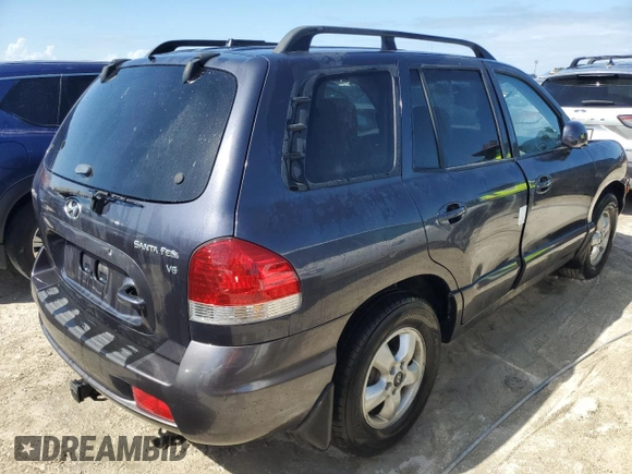 2005 Hyundai Santa Fe GLS with VIN KM8SC13D65U957846, listed as a Copart auction lot 77073824 with 51,485 mi miles and Non Repairable. Bid and sale history available at carsss.com. Image 3.
