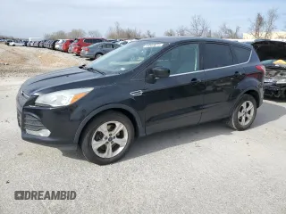 2016 Ford Escape SE with VIN 1FMCU9G93GUA32370, listed as a Copart auction lot 49323875 with 252,453 mi miles and Clean Title. Bid and sale history available at carsss.com. Image 1.