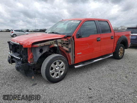 2013 Ford F-150 XL with VIN 1FTFW1CT9DKD58745, listed as a Copart auction lot 49869035 with 159,773 mi miles and Salvage Title. Bid and sale history available at carsss.com. Image 1.