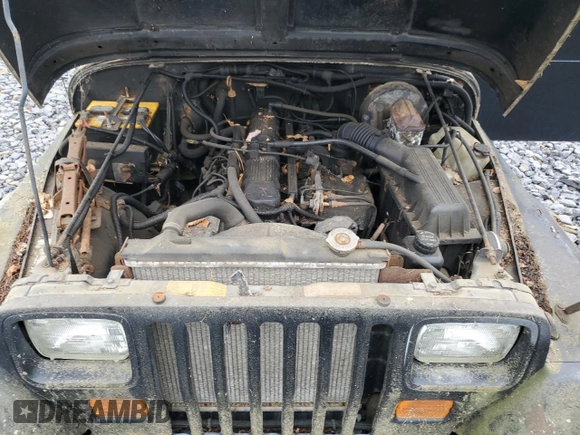 1994 Jeep Wrangler with VIN 1J4FY29S9RP422835, listed as a Copart auction lot 61365235 with 183,566 mi miles and Clean title. Bid and sale history available at DreamBid. Image 12.