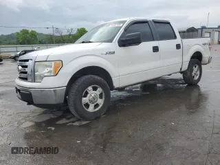 2009 Ford F-150 XL z VIN 1FTPW14V59KC72750, wystawiony jako Copart lot #54487105 z przebiegiem 242 321 mil mil oraz Szkody całkowita. Historia ofert i sprzedaży dostępna na DreamBid. Obrazek 1.