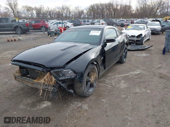 2014 Ford Mustang GT с VIN 1ZVBP8CF3E5283990, выставлен на аукционе IAAI как лот 41932636 с пробегом 94 315 миль миль и . История ставок и продаж доступна на DreamBid. Изображение 17.