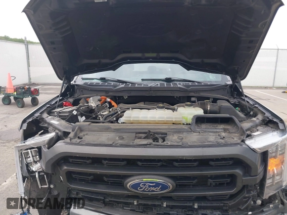 2023 Ford F-150 XL с VIN 1FTFW1ED7PFB32044, выставлен на аукционе IAAI как лот 42147715 с пробегом 62 434 миль миль и . История ставок и продаж доступна на DreamBid. Изображение 10.