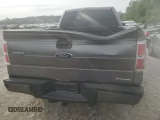 2013 Ford F-150 XL with VIN 1FTEX1CM2DFB20777, listed as a Copart auction lot 59378055 with 163,128 mi miles and Salvage title. Bid and sale history available at DreamBid. Image 6.