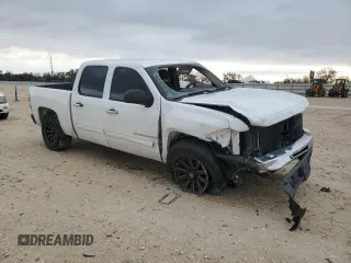 2009 Chevrolet Silverado 1500 LT with VIN 2GCEC23C191139697, listed as a Copart auction lot 88074455 with 243,119 mi miles and Salvage Title. Bid and sale history available at carsss.com. Image 4.
