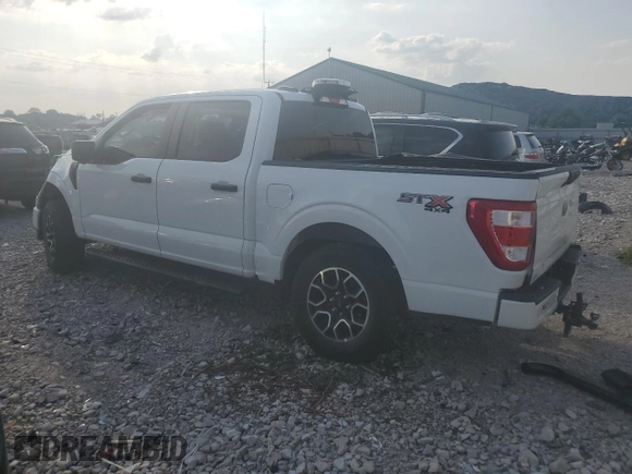 2023 Ford F-150 XL with VIN 1FTFW1E54PFB48680, listed as a Copart auction lot 59205375 with Not provided miles and Salvage title. Bid and sale history available at DreamBid. Image 2.