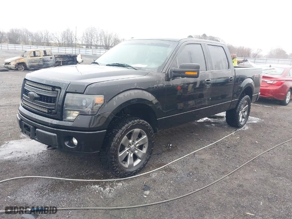 2013 Ford F-150 XL with VIN 1FTFW1EF2DFB26407, listed as a IAAI auction lot 41522160 with 204,920 mi miles. Bid and sale history available at carsss.com. Image 2.