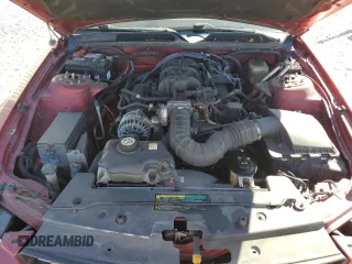 2006 Ford Mustang Standard with VIN 1ZVFT80N365106267, listed as a Copart auction lot 49793925 with Not Provided miles and Salvage Title. Bid and sale history available at carsss.com. Image 11.