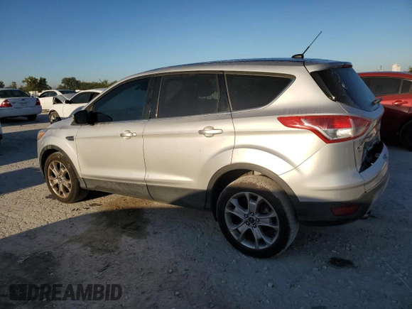 2013 Ford Escape SEL with VIN 1FMCU0HX9DUD69176, listed as a Copart auction lot 74879594 with 113,195 mi miles and Salvage Title. Bid and sale history available at carsss.com. Image 2.
