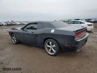 2010 Dodge Challenger R/T with VIN 2B3CJ5DT2AH122661, listed as a Copart auction lot 46820555 with 119,935 mi miles and Salvage Title. Bid and sale history available at carsss.com. Image 2.
