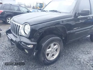 2002 Jeep Liberty Limited with VIN 1J8GL58KX2W198975, listed as a IAAI auction lot 41200746 with 220,079 mi miles and . Bid and sale history available at DreamBid. Image 6.