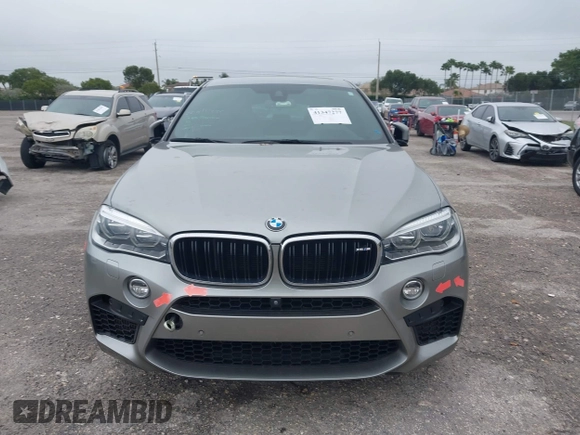 2019 BMW X6 M with VIN 5YMKW8C59K0Y75102, listed as a IAAI auction lot 41347277 with 37,635 mi miles. Bid and sale history available at carsss.com. Image 18.