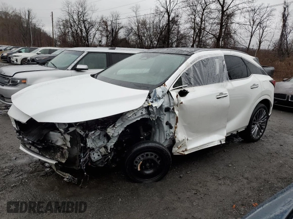 2024 Lexus RX with VIN JTJCJMGA9R2015210, listed as a Copart auction lot 49382125 with Not Provided miles and Salvage Title. Bid and sale history available at carsss.com. Image 1.