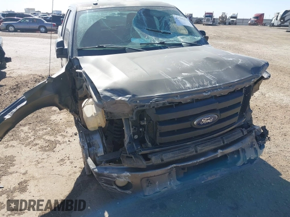 2010 Ford F-150 XL with VIN 1FTEX1CW1AKB71501, listed as a IAAI auction lot 41755273 with 146,272 mi miles and . Bid and sale history available at DreamBid. Image 6.