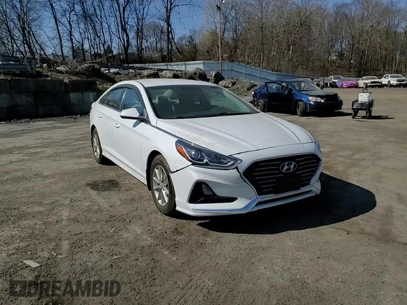 2019 Hyundai Sonata SE with VIN 5NPE24AF5KH813480, listed as a Copart auction lot 48629485 with 76,752 mi miles and Salvage Title. Bid and sale history available at carsss.com. Image 11.