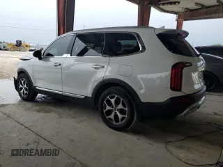 2020 Kia Telluride EX with VIN 5XYP34HCXLG047806, listed as a Copart auction lot 59591305 with 78,574 mi miles and Non repairable. Bid and sale history available at DreamBid. Image 2.