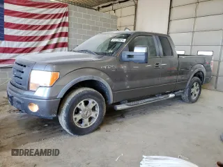 2009 Ford F-150 XL with VIN 1FTPX14V39KB41099, listed as a Copart auction lot 57279624 with 114,594 mi miles and Clean Title. Bid and sale history available at carsss.com. Image 1.