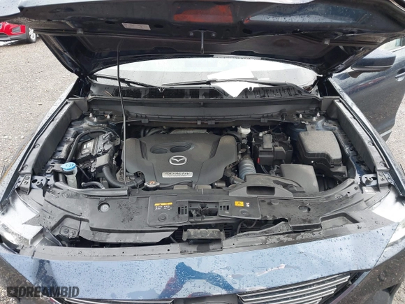 2019 Mazda CX-9 Touring with VIN JM3TCBCY4K0329506, listed as a IAAI auction lot 41800492 with 67,052 mi miles. Bid and sale history available at carsss.com. Image 10.