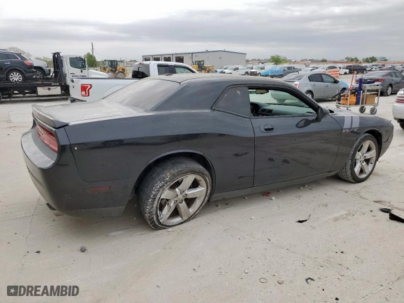 2009 Dodge Challenger R/T with VIN 2B3LJ54T39H510817, listed as a Copart auction lot 51319815 with 172,110 mi miles and Salvage Title. Bid and sale history available at carsss.com. Image 3.