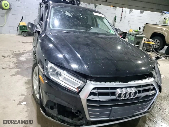 2018 Audi Q5 Premium with VIN WA1ANAFYXJ2164056, listed as a Copart auction lot 43848595 with 0 mi miles and Salvage Title. Bid and sale history available at carsss.com. Image 10.