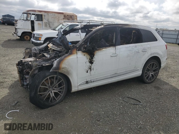 2017 Audi Q7 Premium Plus with VIN WA1LAAF75HD053439, listed as a Copart auction lot 49622825 with Not Provided miles and Non Repairable. Bid and sale history available at DreamBid. Image 1.
