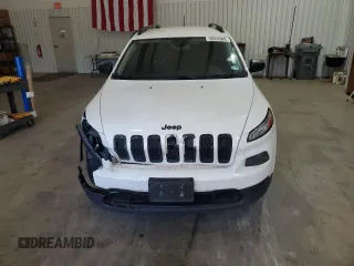 2017 Jeep Cherokee Sport with VIN 1C4PJLAB0HW669407, listed as a Copart auction lot 49335905 with 168,743 mi miles and Salvage Title. Bid and sale history available at carsss.com. Image 5.
