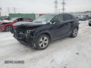 2017 Lexus NX 300h with VIN JTJBJRBZ7H2053412, listed as a Copart auction lot 44462015 with 50,076 mi miles and Salvage Title. Bid and sale history available at DreamBid. Image 1.