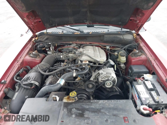1995 Ford Mustang with VIN 1FALP4447SF232808, listed as a IAAI auction lot 42625098 with 120,920 mi miles and . Bid and sale history available at DreamBid. Image 10.