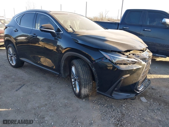 2022 Lexus NX with VIN JTJHGCEZXN5000778, listed as a IAAI auction lot 41429221 with 3,762 mi miles. Bid and sale history available at carsss.com. Image 1.