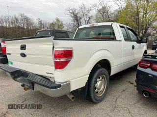 2013 Ford F-150 XL with VIN 1FTEX1CM2DFC21544, listed as a Copart auction lot 55329995 with 176,836 mi miles and Clean Title. Bid and sale history available at carsss.com. Image 3.