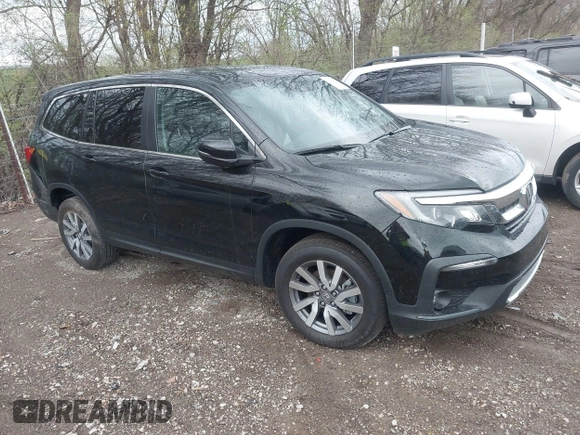2019 Honda Pilot EX-L with VIN 5FNYF6H55KB071767, listed as a IAAI auction lot 41941696 with 66,844 mi miles and . Bid and sale history available at carsss.com. Image 1.