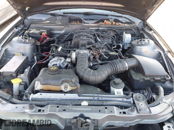 2010 Ford Mustang V6 с VIN 1ZVBP8AN6A5157773, выставлен на аукционе IAAI как лот 41921156 с пробегом 118 549 миль миль и . История ставок и продаж доступна на DreamBid. Изображение 10.