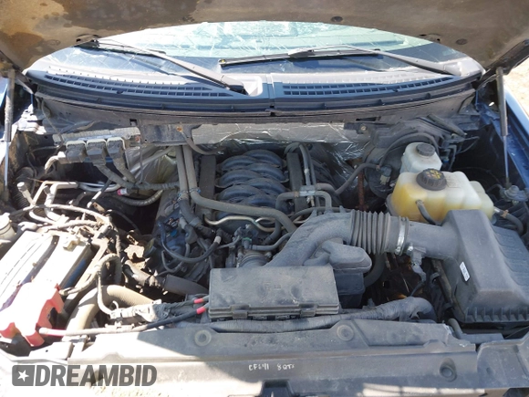2013 Ford F-150 XL with VIN 1FTFX1EFXDKG21202, listed as a IAAI auction lot 41833771 with 142,152 mi miles. Bid and sale history available at carsss.com. Image 10.