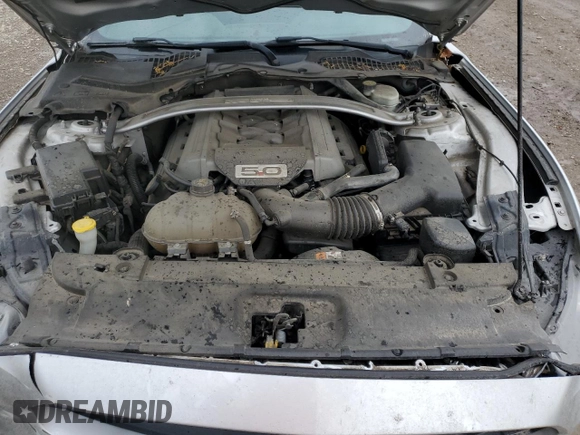 2017 Ford Mustang GT with VIN 1FA6P8CF4H5210027, listed as a Copart auction lot 51072245 with 106,719 mi miles and Salvage Title. Bid and sale history available at carsss.com. Image 13.