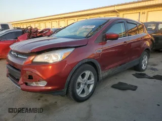 2014 Ford Escape SE with VIN 1FMCU9G94EUC19288, listed as a Copart auction lot 48514585 with 126,182 mi miles and Salvage Title. Bid and sale history available at carsss.com. Image 1.
