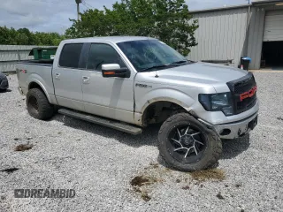 2010 Ford F-150 XL with VIN 1FTEW1C84AKE62319, listed as a Copart auction lot 59796895 with 179,589 mi miles and Salvage title. Bid and sale history available at DreamBid. Image 4.