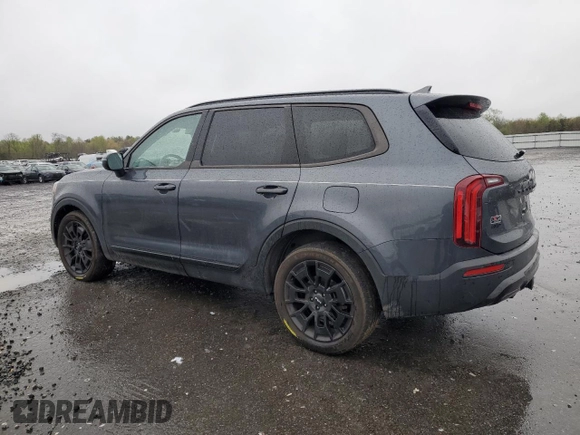 2022 Kia Telluride EX with VIN 5XYP3DHC2NG255732, listed as a Copart auction lot 52604795 with 32,117 mi miles and Salvage title. Bid and sale history available at DreamBid. Image 2.