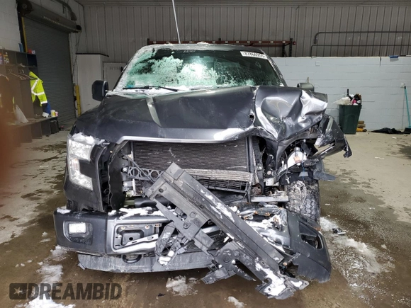 2016 Ford F-150 XLT with VIN 1FTFX1EF5GFD29647, listed as a Copart auction lot 87866955 with 0 mi miles and Salvage Title. Bid and sale history available at carsss.com. Image 5.